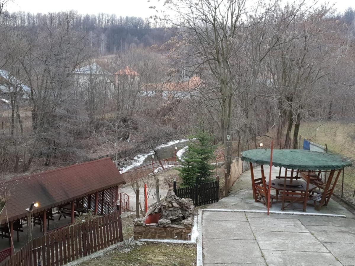 Pensiunea Lucica Sacelu Exterior foto