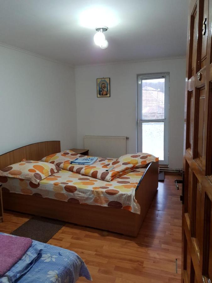 Pensiunea Lucica Sacelu Exterior foto